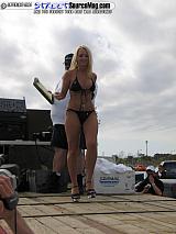 springfling Show Images Page 4